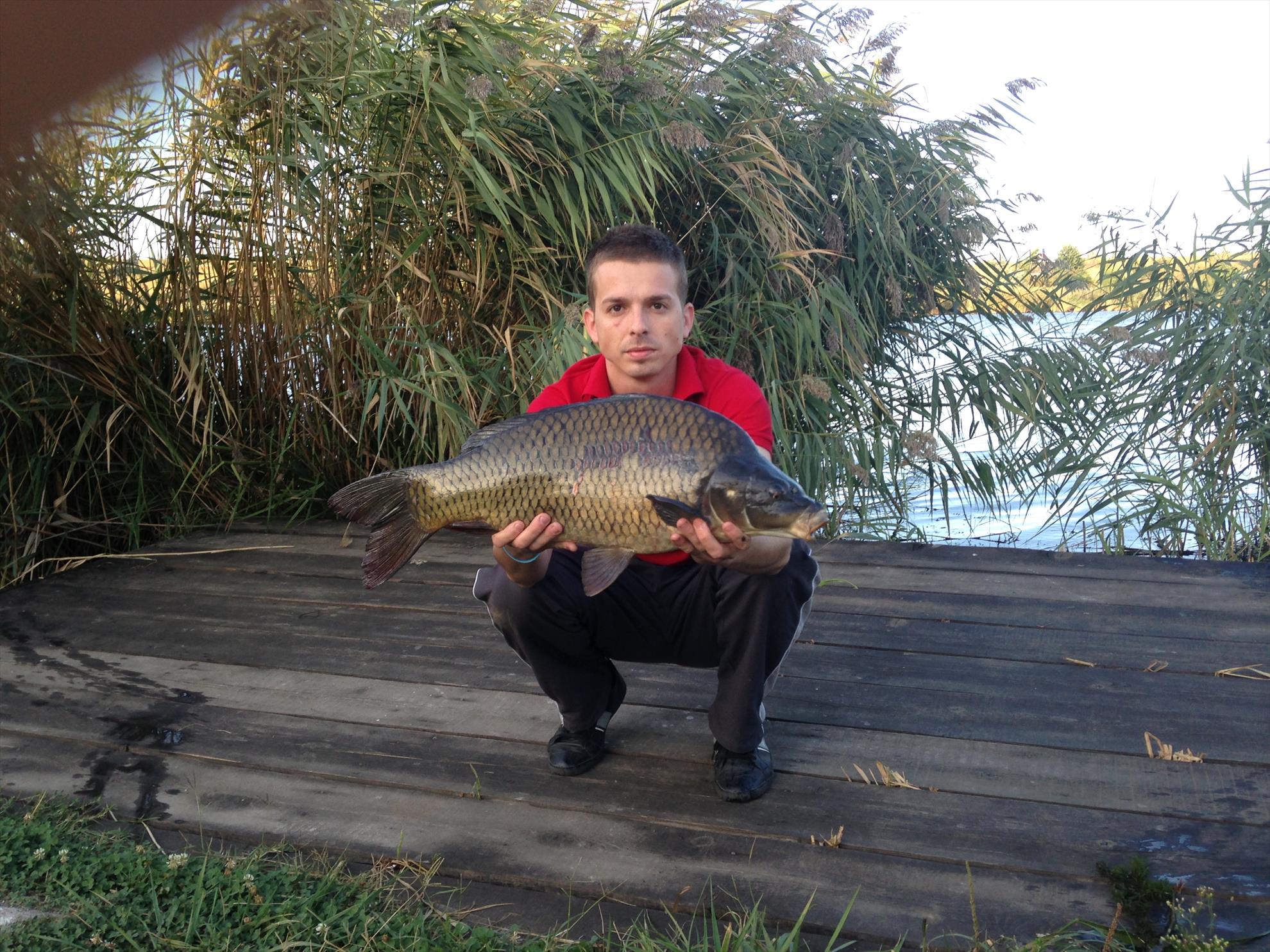 Lazar - la-lazar.JPG